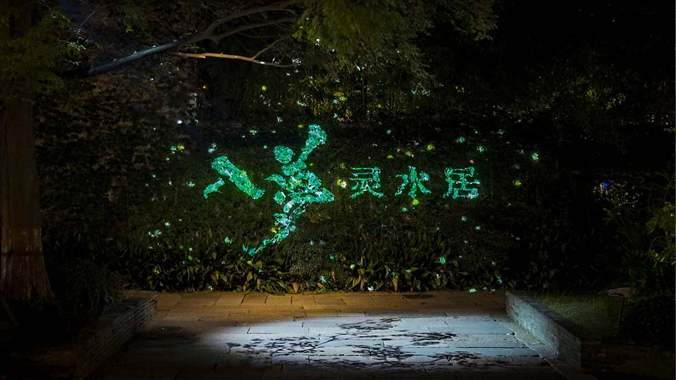 水幕投影 沉浸式光影秀 浙江烏鎮(zhèn)《入夢靈水居》 光峰工程投影 樹木投影 ALPD激光光源 